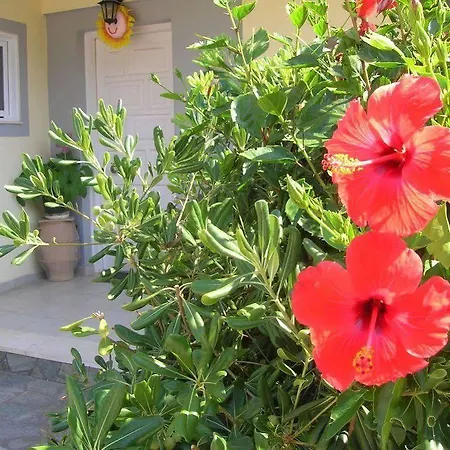 Aristea Apartamento