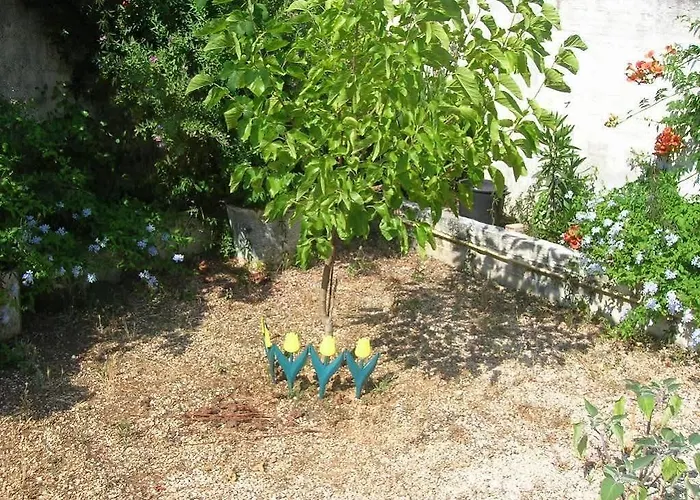 Aristea Apartament Mousata