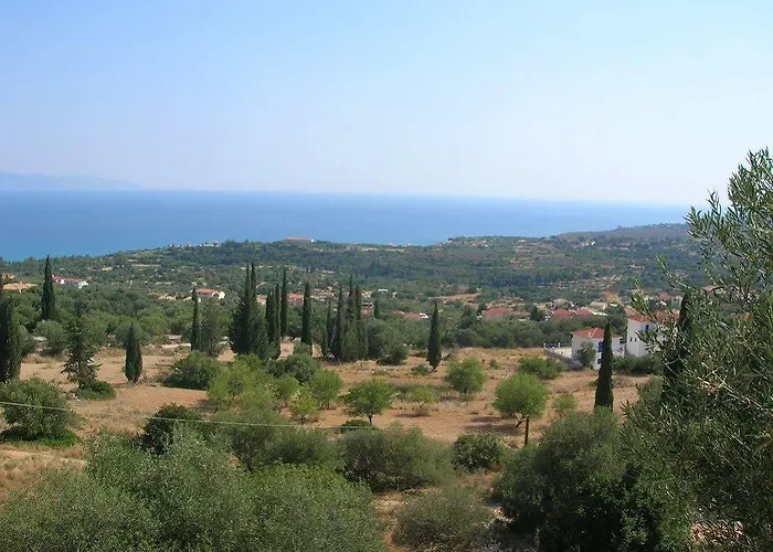 Aristea